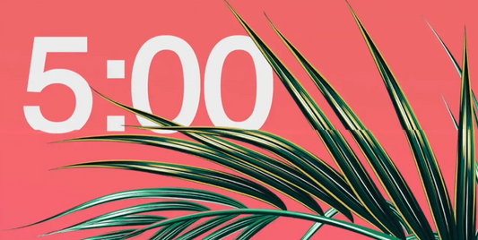 Easter Palm Leaves Countdown Video