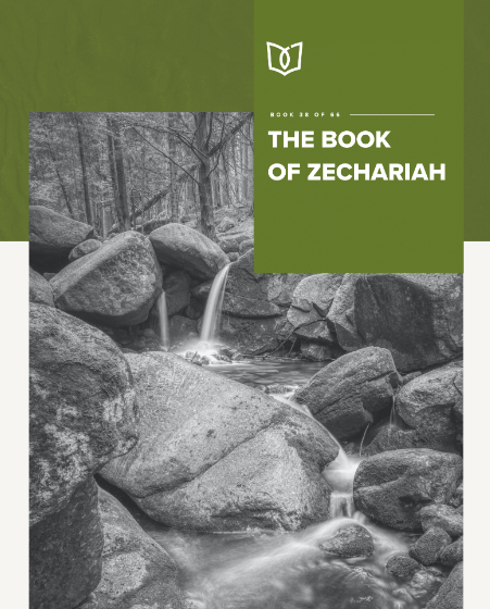 The Book Of Zechariah