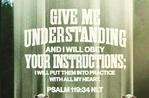 Verse of the Day: Psalm 119:34