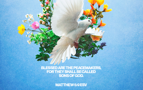 Verse of the Day: Matthew 5:9