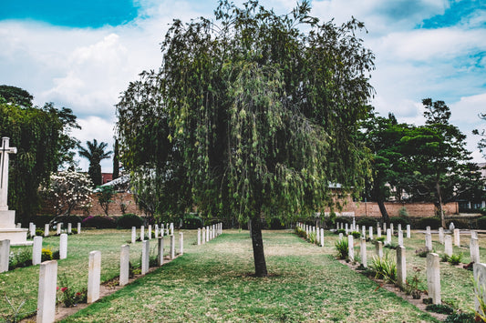 Blessed Are Those Who Mourn