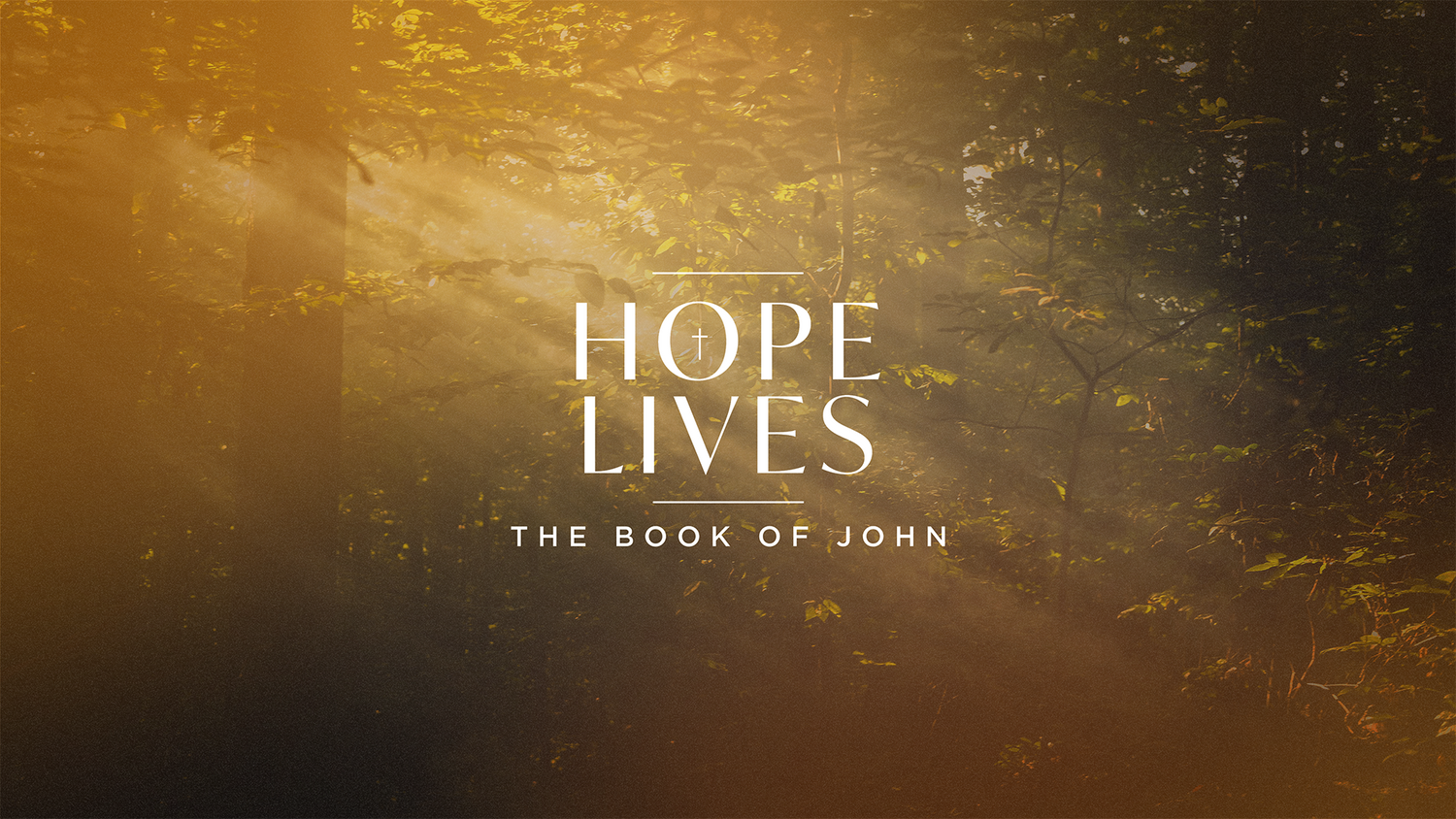 Hope and Encouragement
