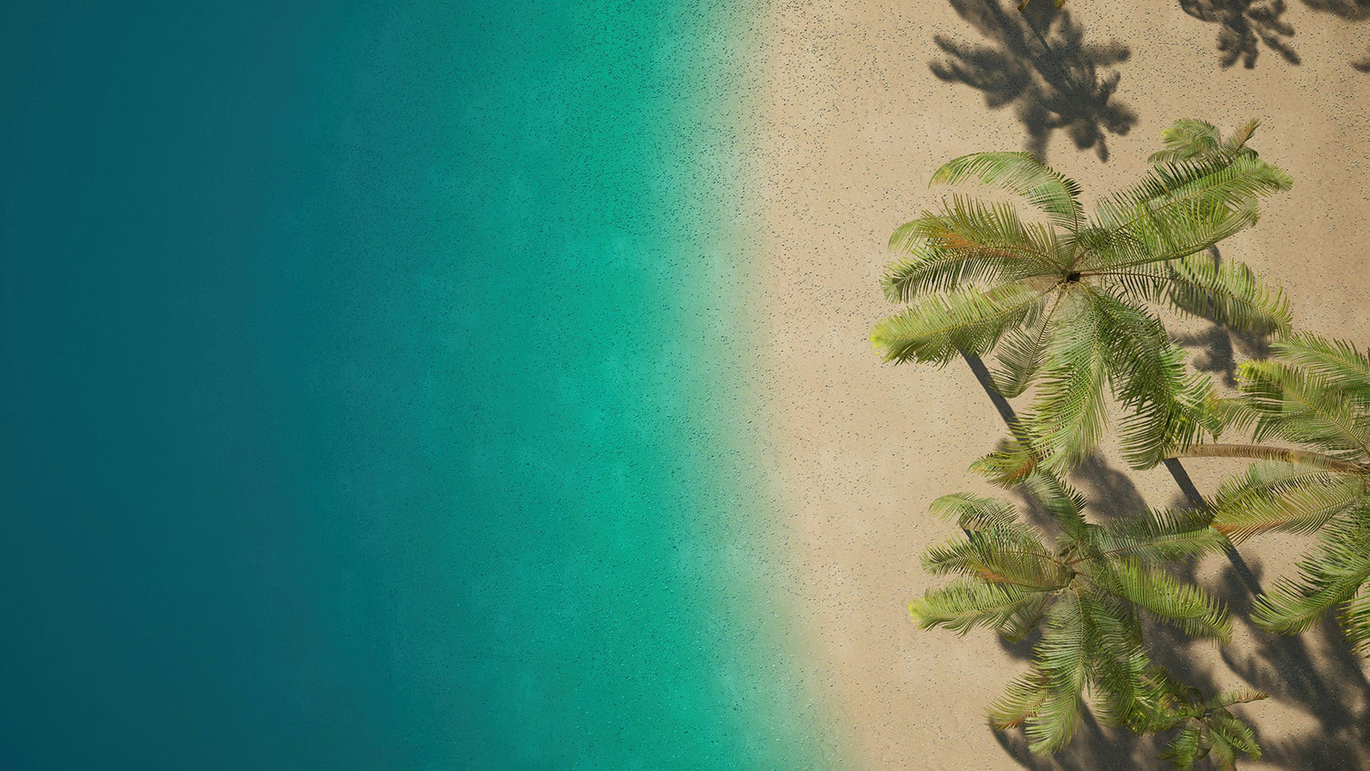 Summer Series Collection