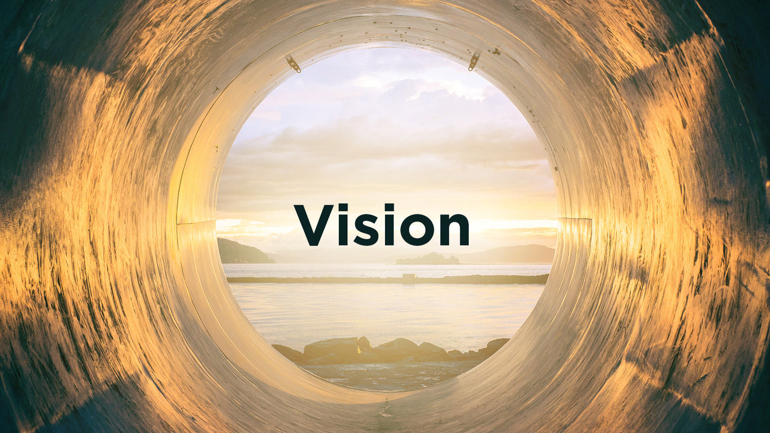 Vision