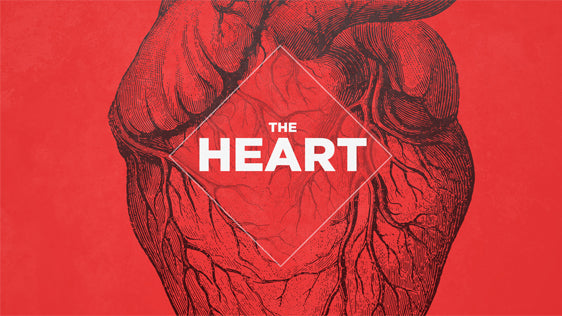 The Heart