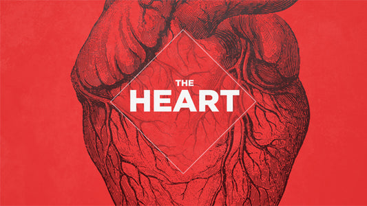 The Heart