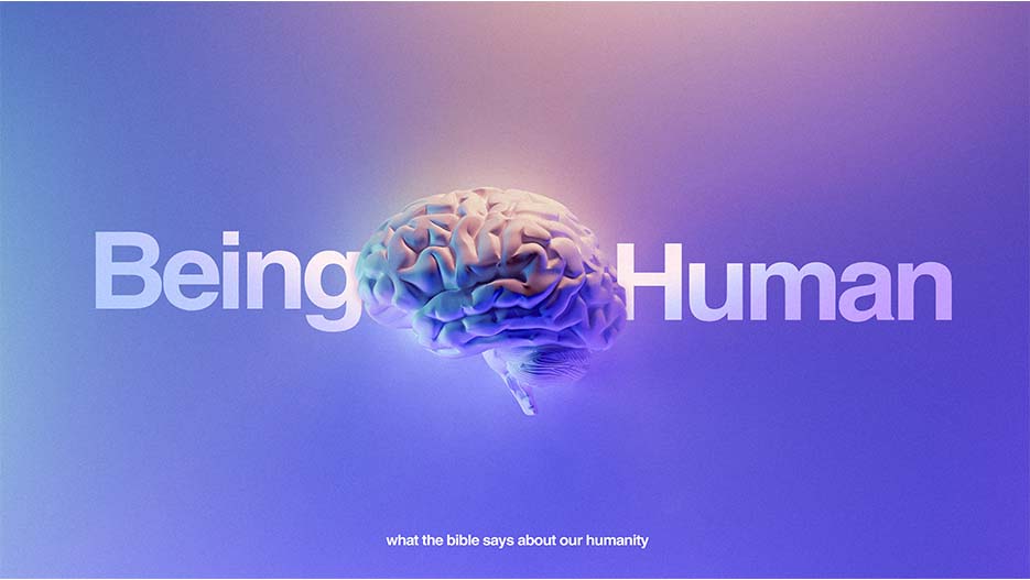 Being Human: What The Bible Says About Our Humanity