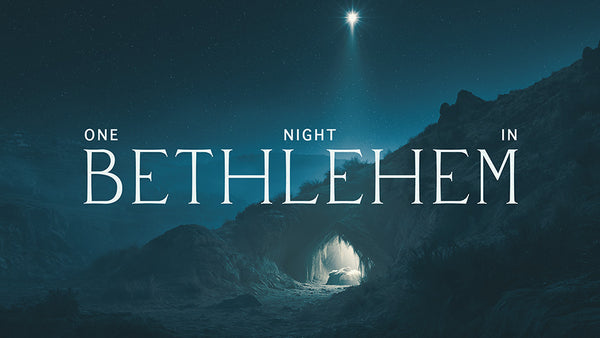 One Night In Bethlehem