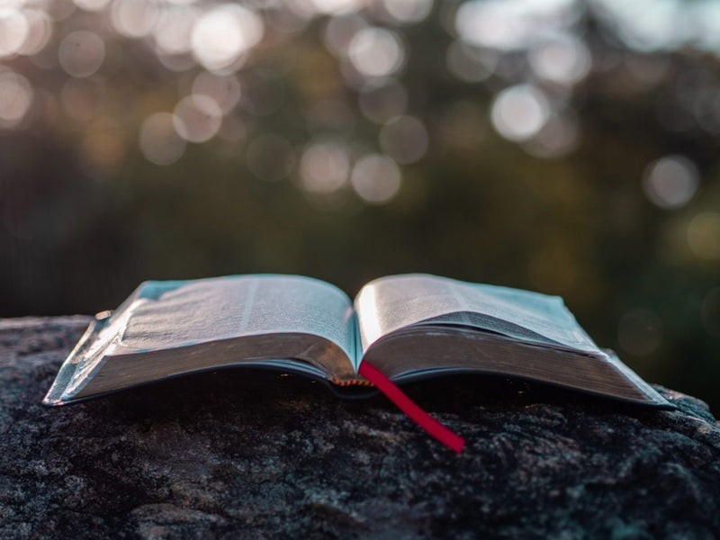 Christ At Work Through Every Page And Every Day