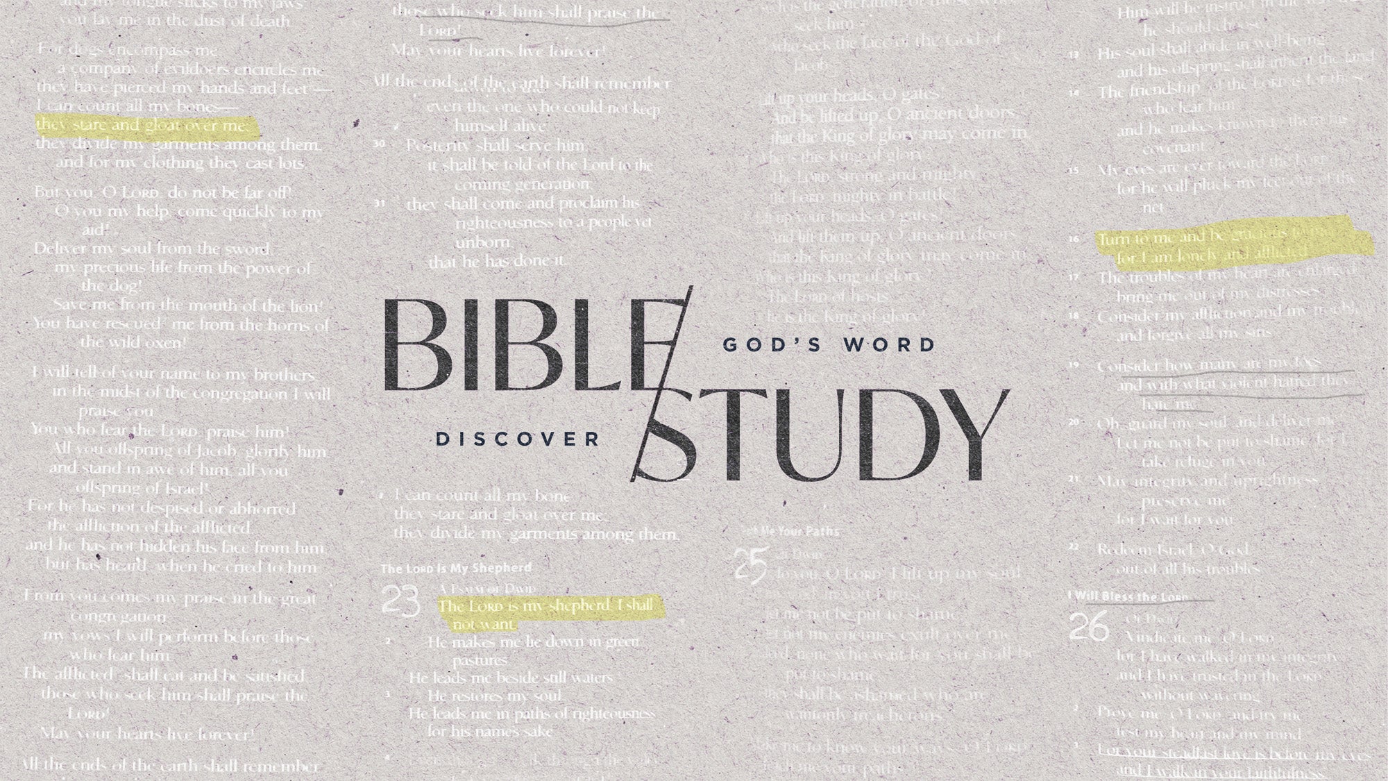 Bible Study