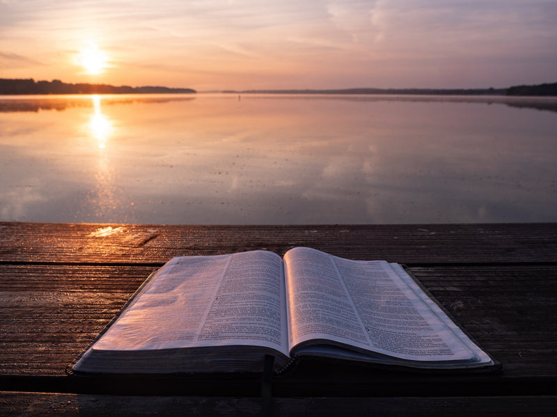 God Plans And Purpose