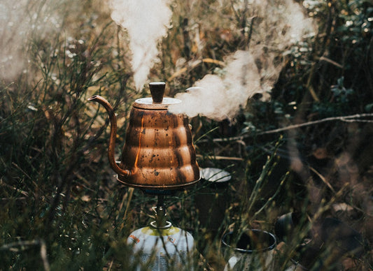 Exceptions To The Rules