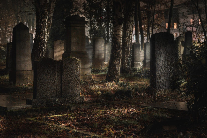 Fear Of Death