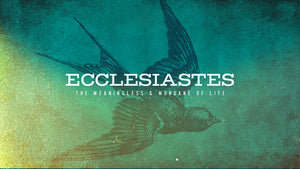 Ecclesiastes: The Meaningless and Mundane of Life