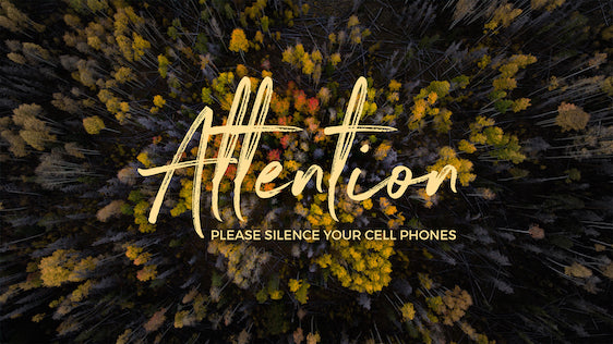 Please Silence Your Phone