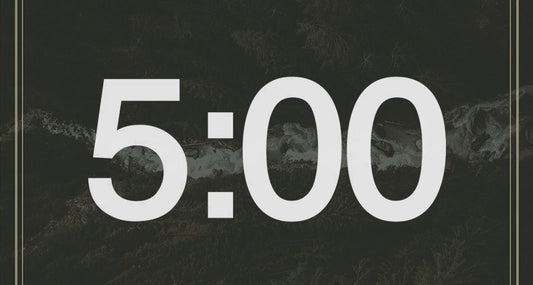 Forest Background Countdown Video