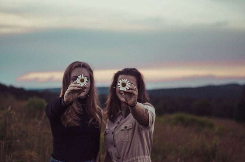 Faithful Friends