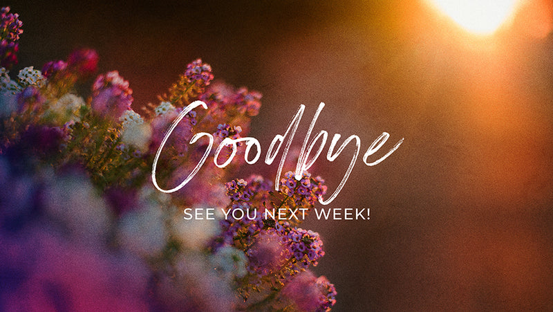 Goodbye