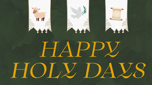 Happy Holy Days (Children's Series)
