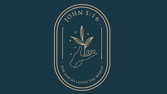 John 3:16 For God So Loved The World