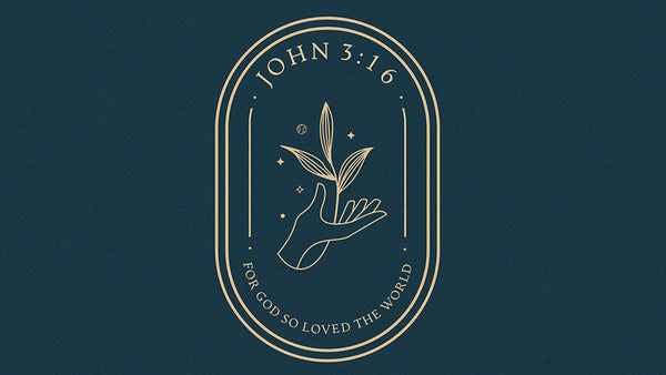 John 3:16 For God So Loved The World