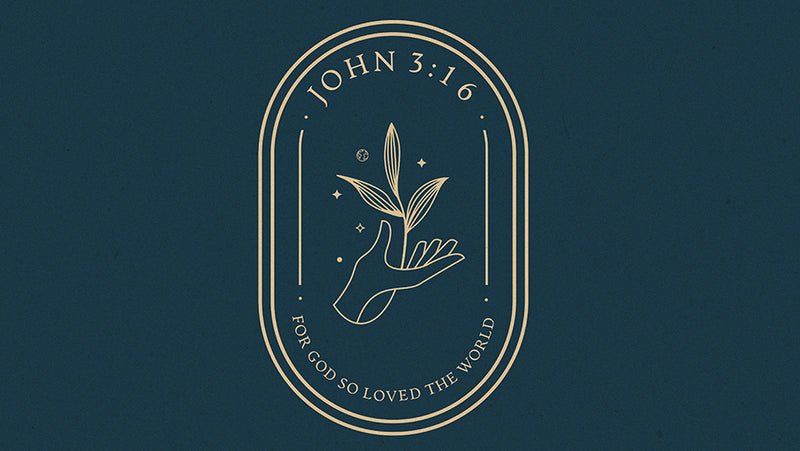 John 3:16 For God So Loved The World