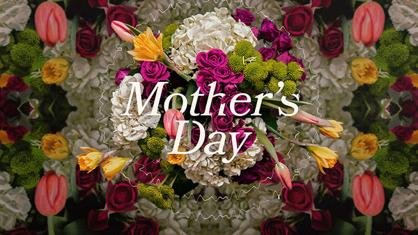 Mother’s Day: Godly Mothers of the Word