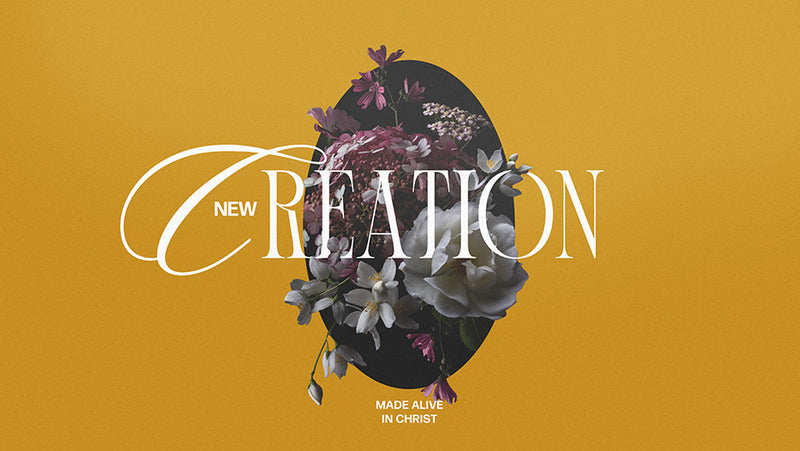 New Creation