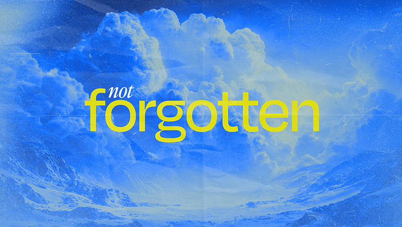 Not Forgotten