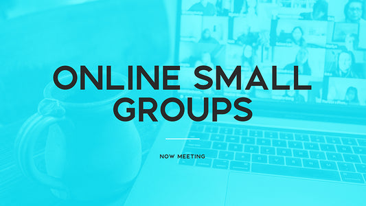 Online Small Groups