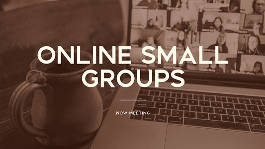 Online Small Groups