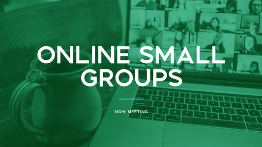 Online Small Groups