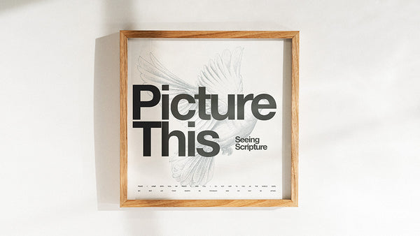 Picture This