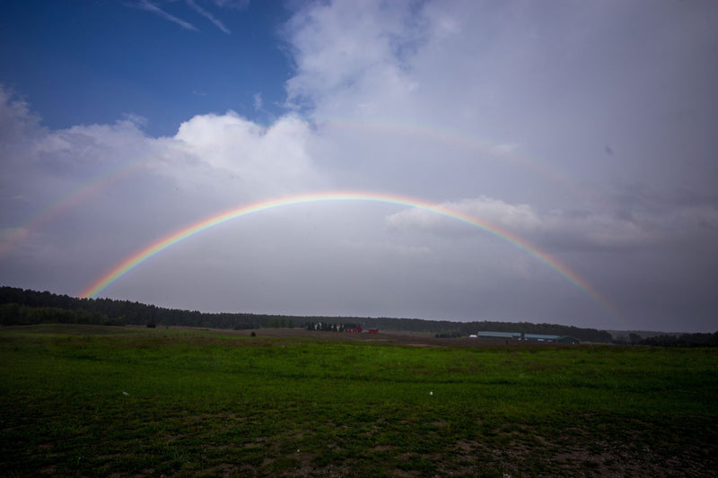 God Keeps His Promises