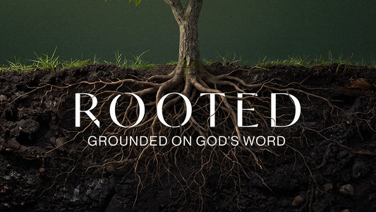 Rooted