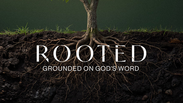 Rooted