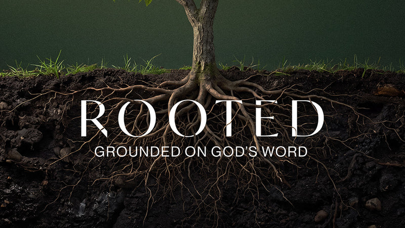 Rooted