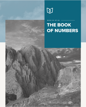 The Book Of Numbers