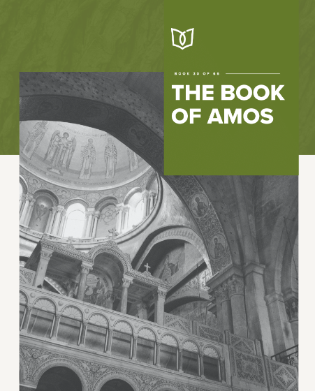The Book Of Amos