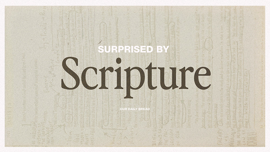 Surprised By Scripture