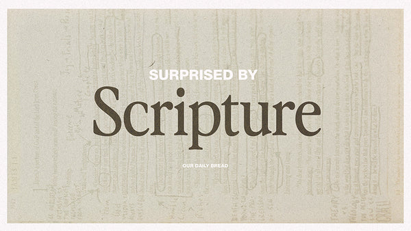 Surprised By Scripture