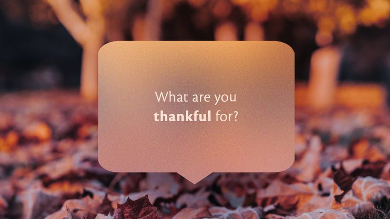 What Are You Thankful For?
