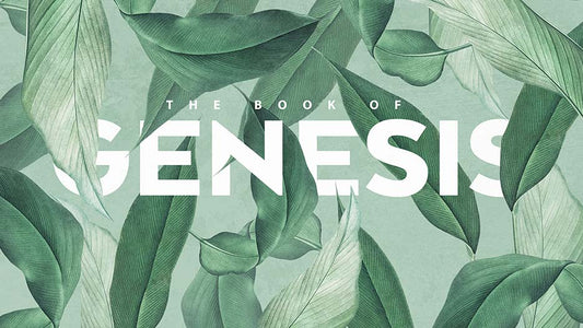 The Book Of Genesis