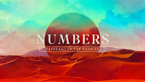 Numbers: Preparation For Promise