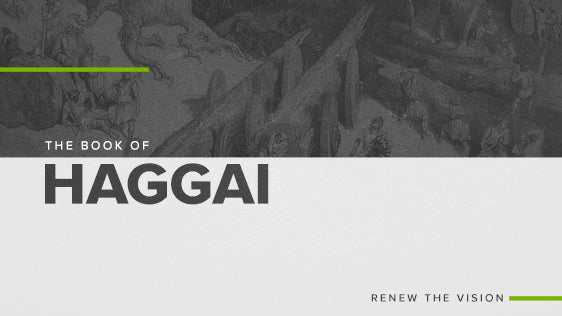 The Book of Haggai: Renew The Vision