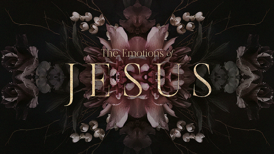 The Emotions of Jesus