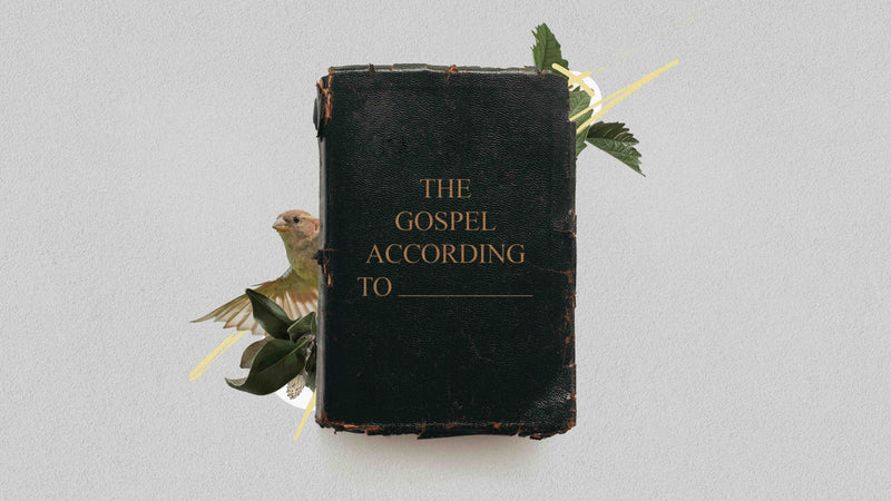 The Gospel According To _______