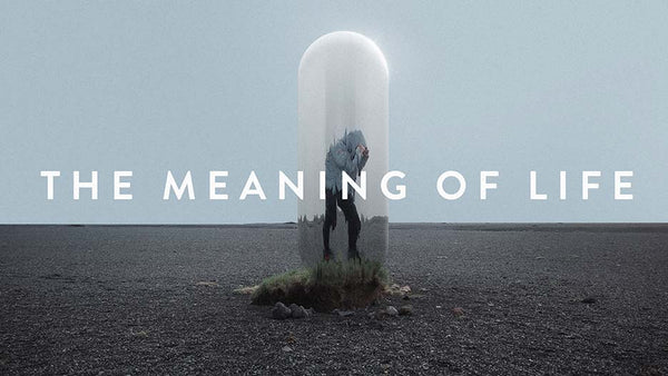 The Meaning of Life