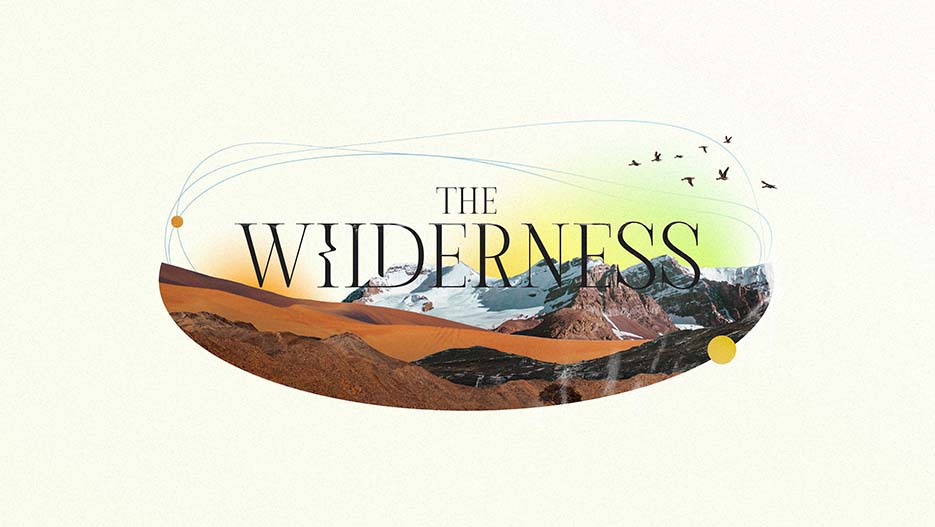 The Wilderness