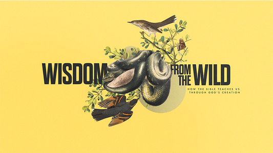Wisdom From The Wild: How the Bible Teaches Us Through God’s Creation